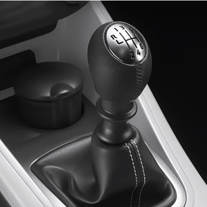 Pomo Palanca de Cambios Renault Duster 2.0